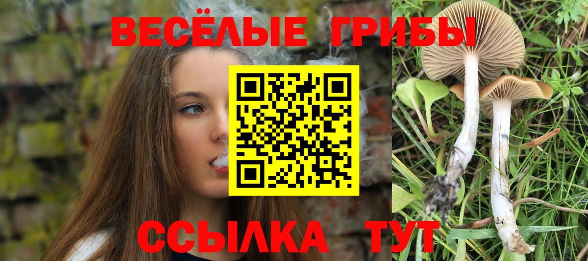 Псилоцибиновые грибы ЛСД  Галлюциногенные грибы Magic Shrooms  Лиски  Вход с VPN 