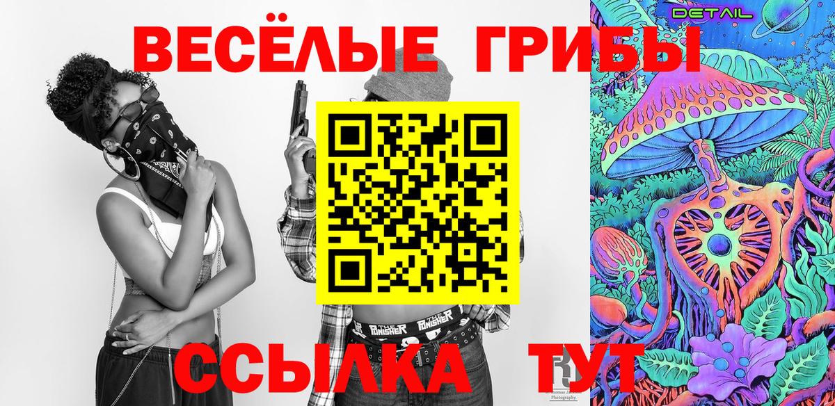 Псилоцибиновые грибы Psilocybine cubensis Лиски